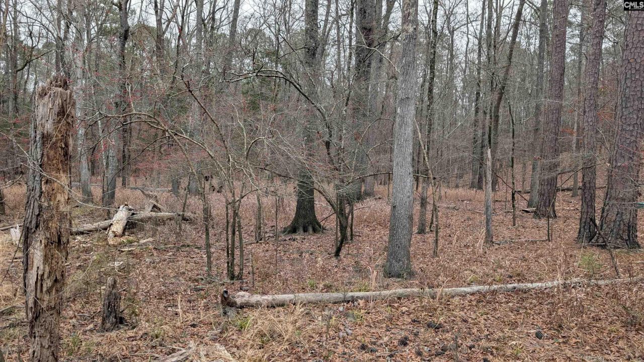 Lots B & C Miller Road  Photo 31