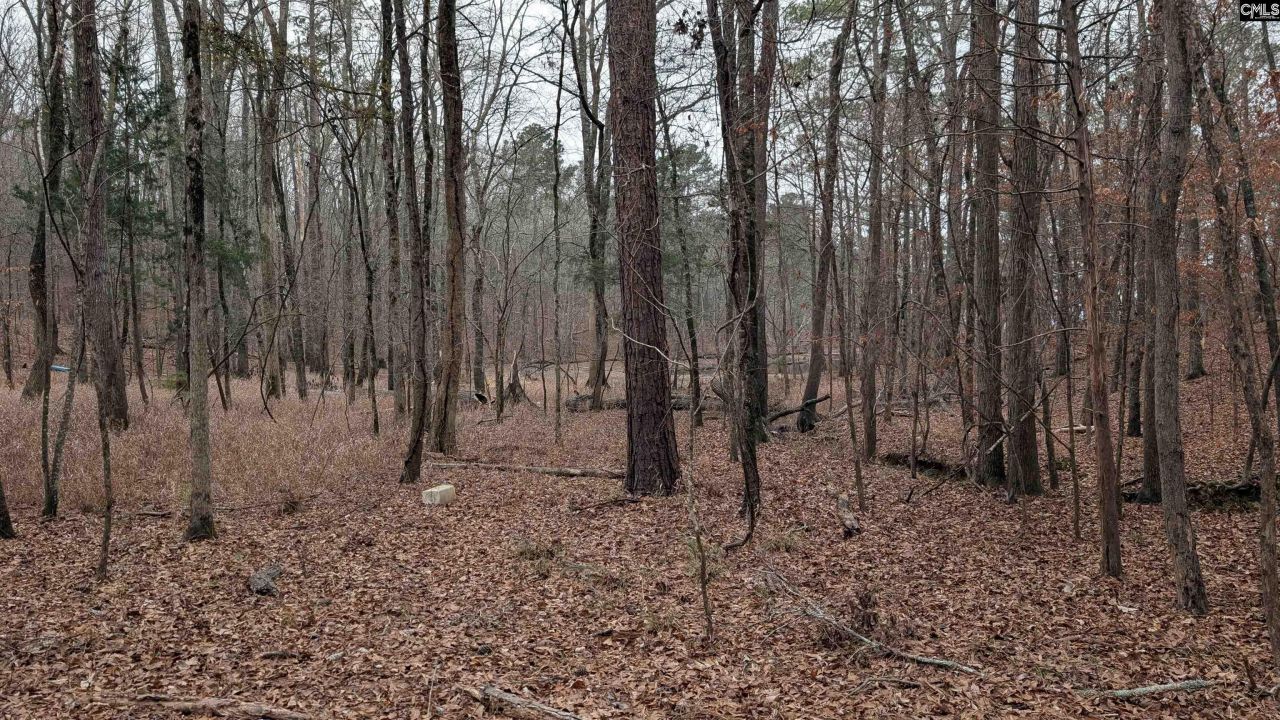 Lots B & C Miller Road  Photo 32