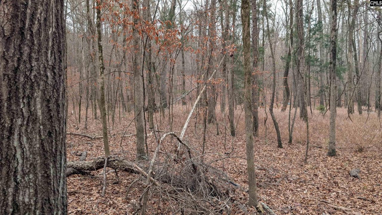 Lots B & C Miller Road  Photo 33