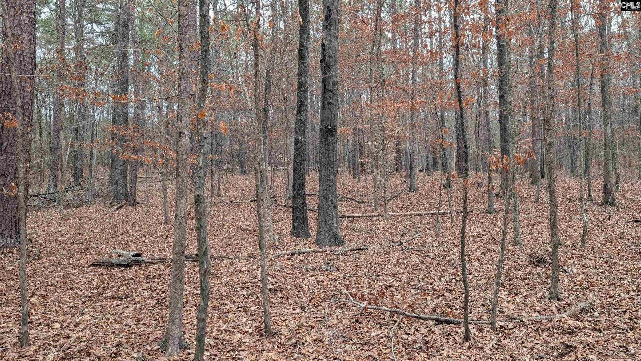 Lots B & C Miller Road  Photo 34