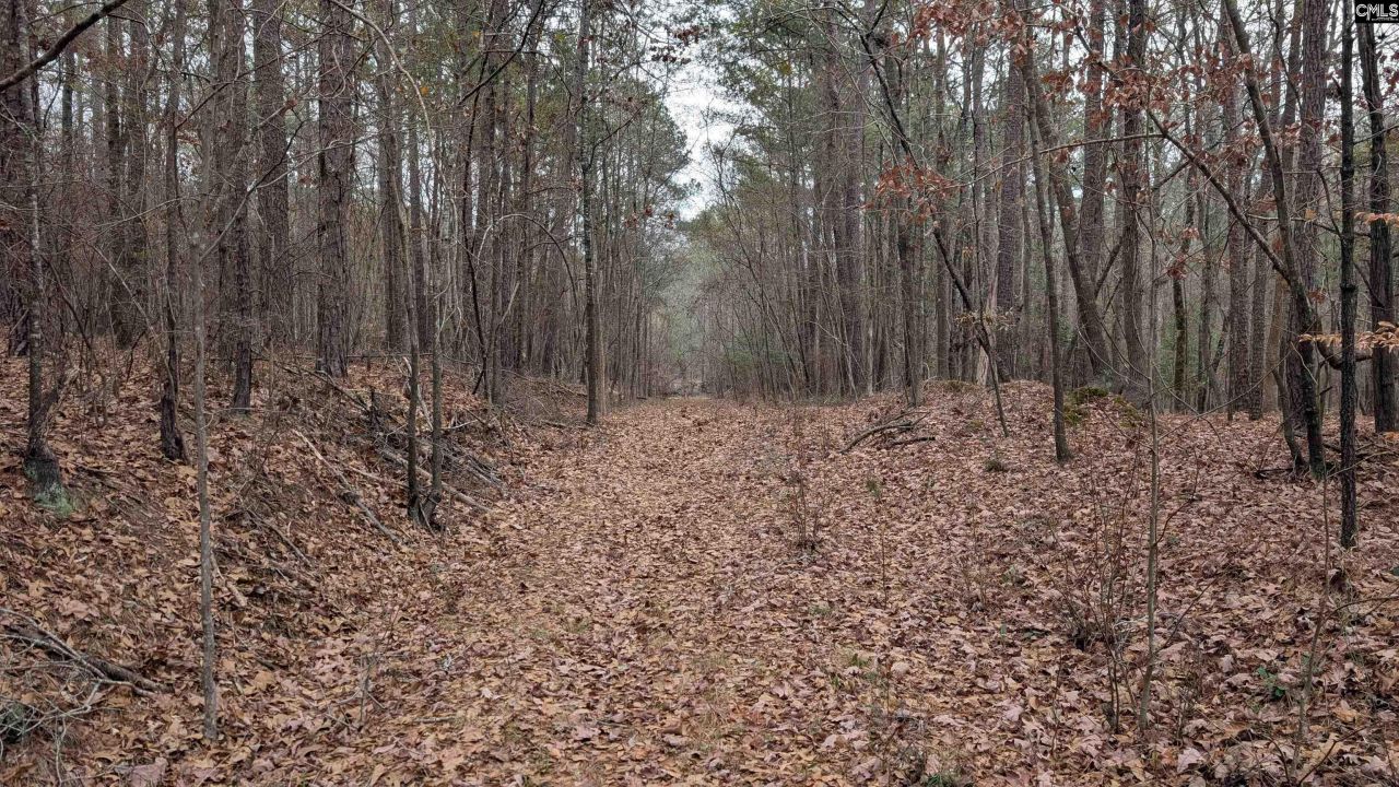 Lots B & C Miller Road  Photo 35