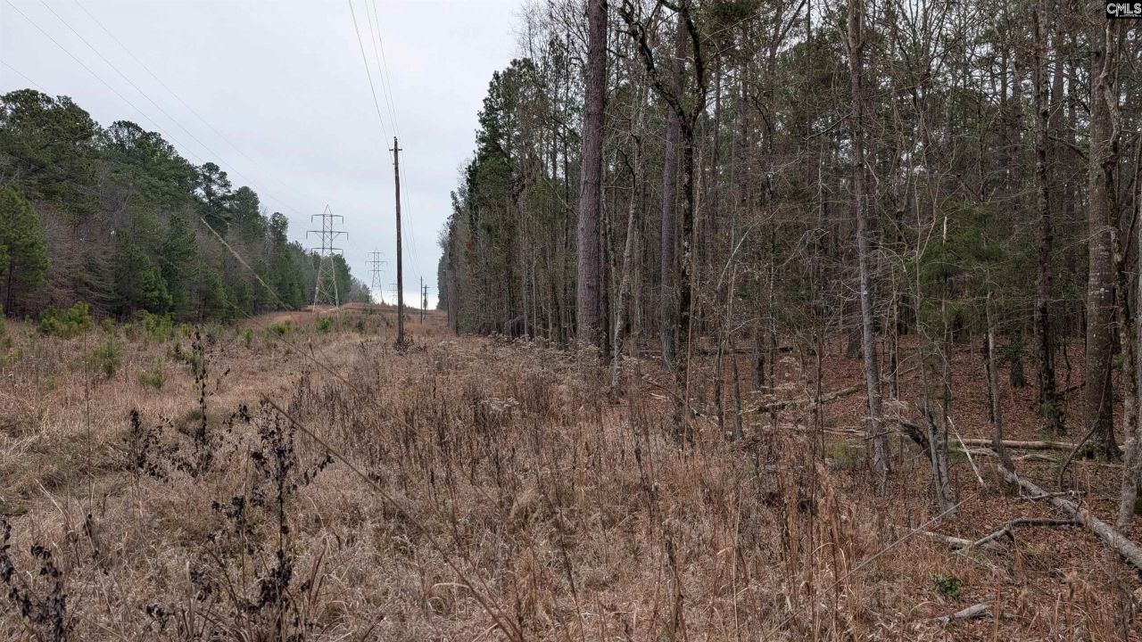 Lots B & C Miller Road  Photo 36