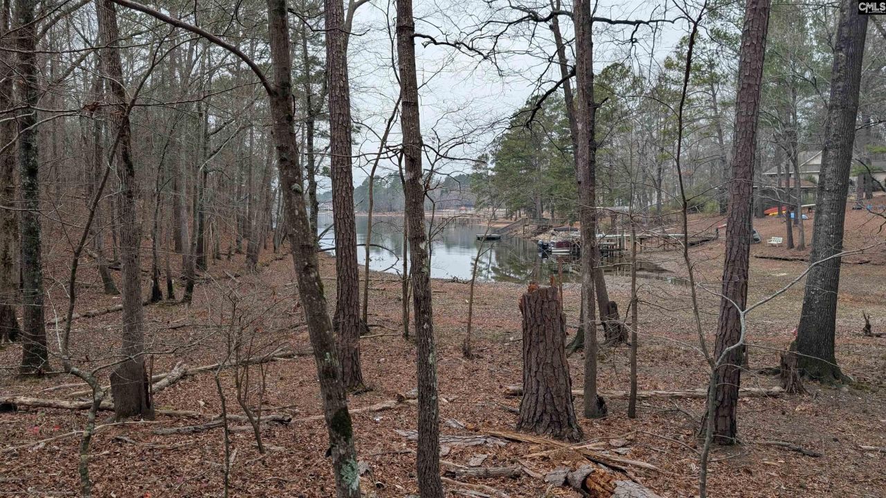 Lots B & C Miller Road  Photo 4