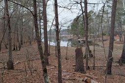 Lots B & C Miller Road  photo 4