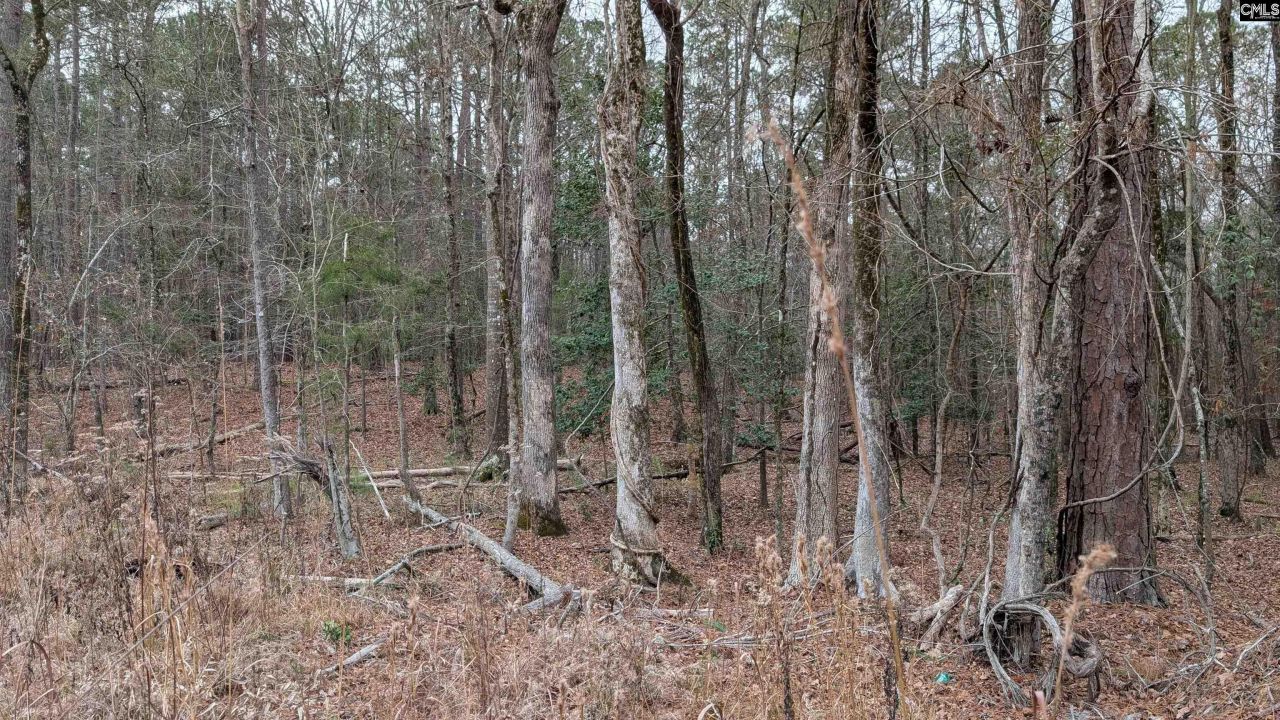 Lots B & C Miller Road  Photo 5