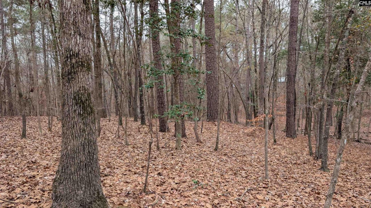 Lots B & C Miller Road  Photo 7