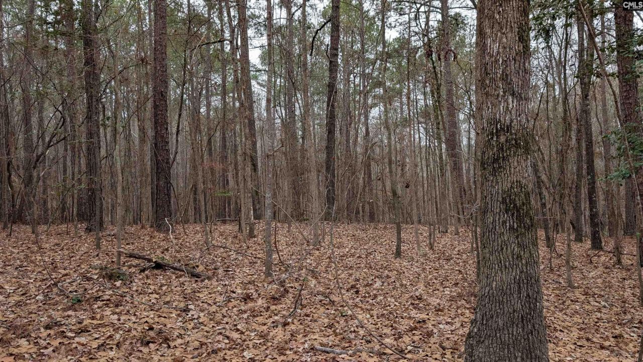 Lots B & C Miller Road  Photo 8