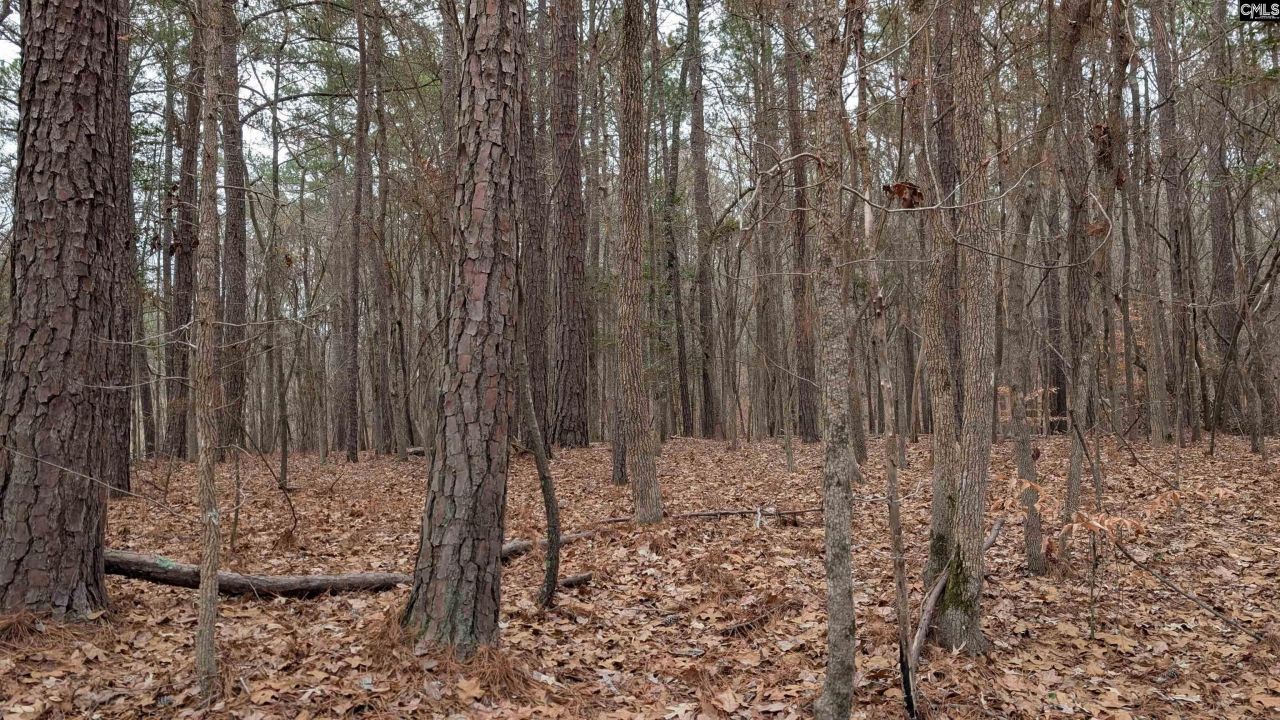 Lots B & C Miller Road  Photo 9