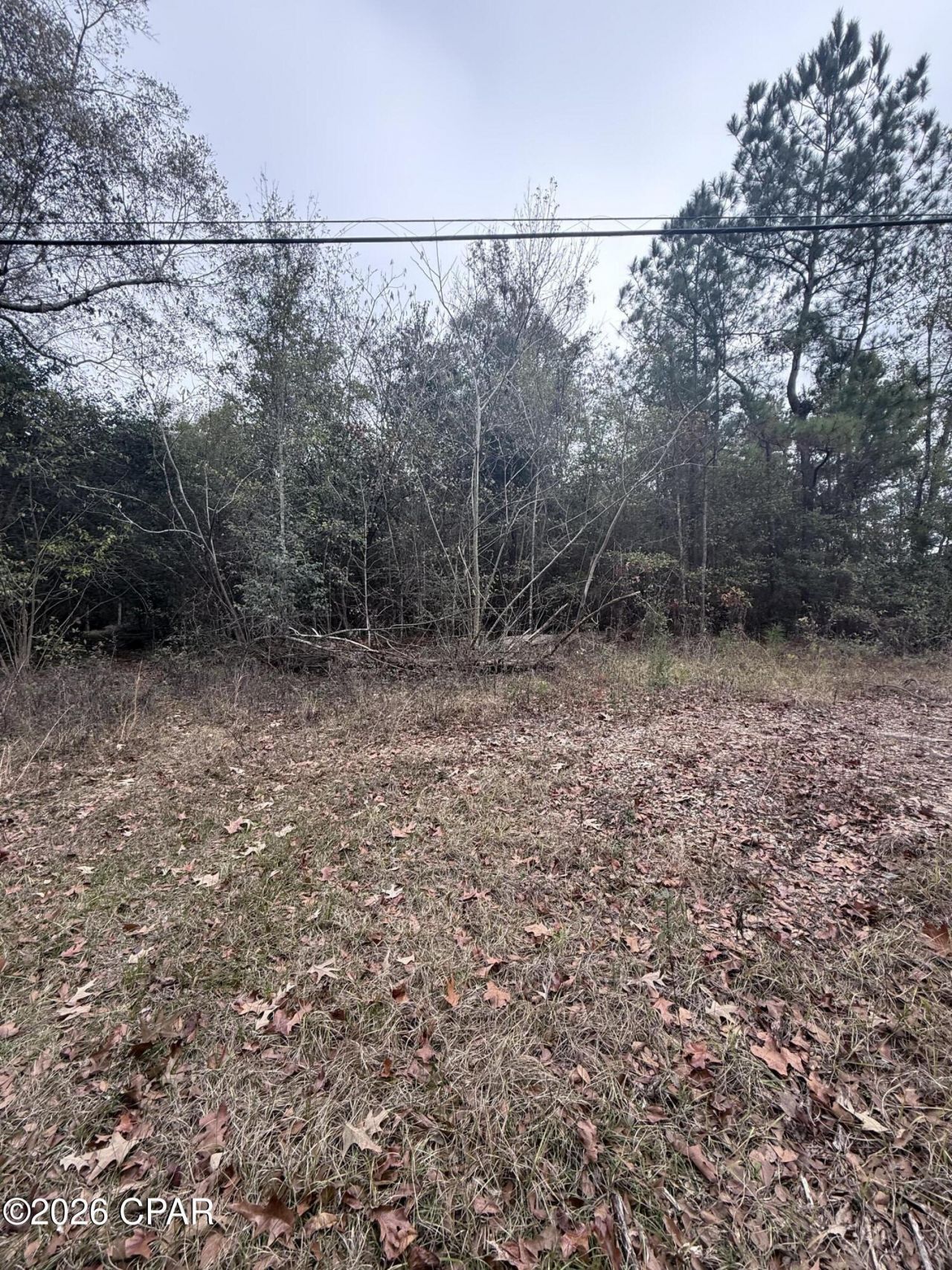 0 Dairy Road, Sneads, FL 32460 Main Photo