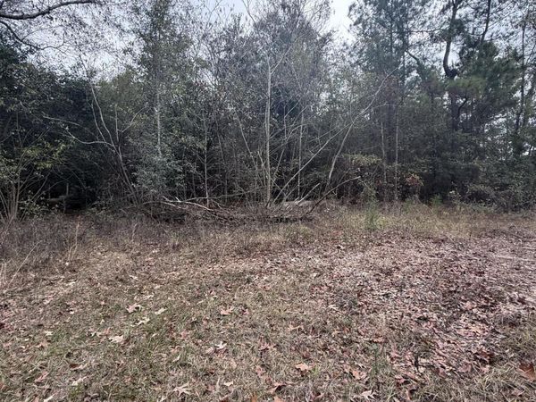 0 Dairy Road, Sneads, FL 32460