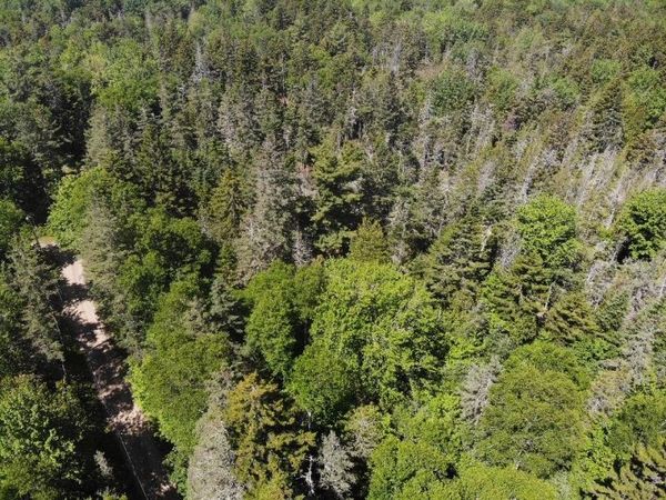 0 Flye Point, Unit Lot 3, Brooklin, ME 04616