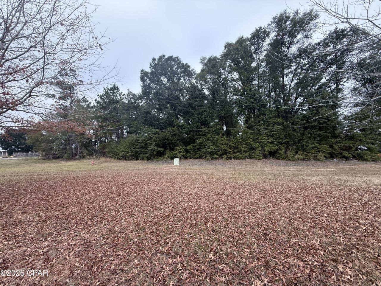 0 Hwy 90, Sneads, FL 32460 Main Photo