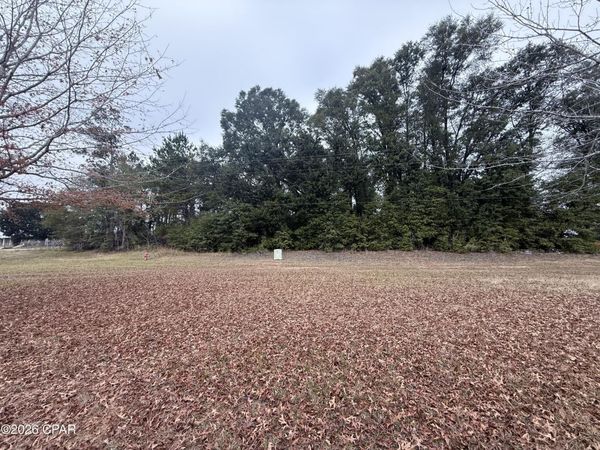 0 Hwy 90, Sneads, FL 32460