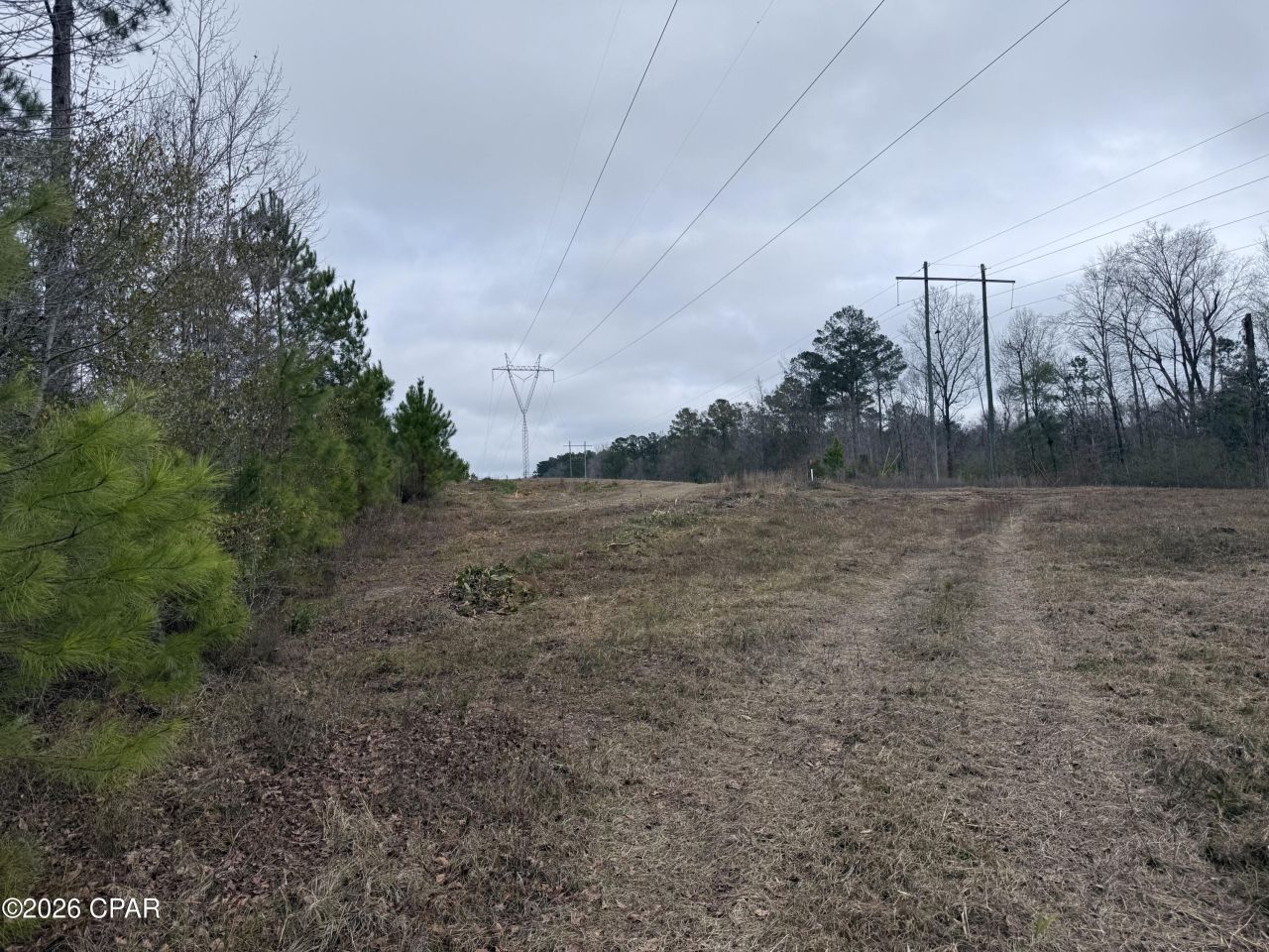 0 Dunn Road, Chattahoochee, FL 32324 Main Photo