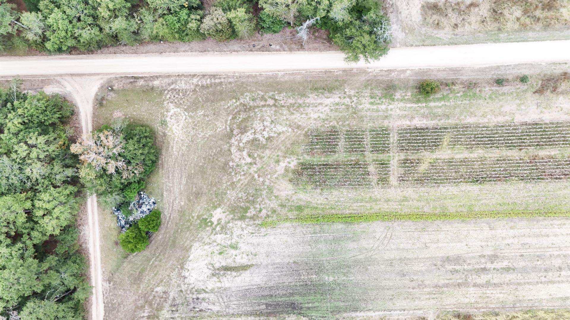 0000 Chavis Road Photo 12