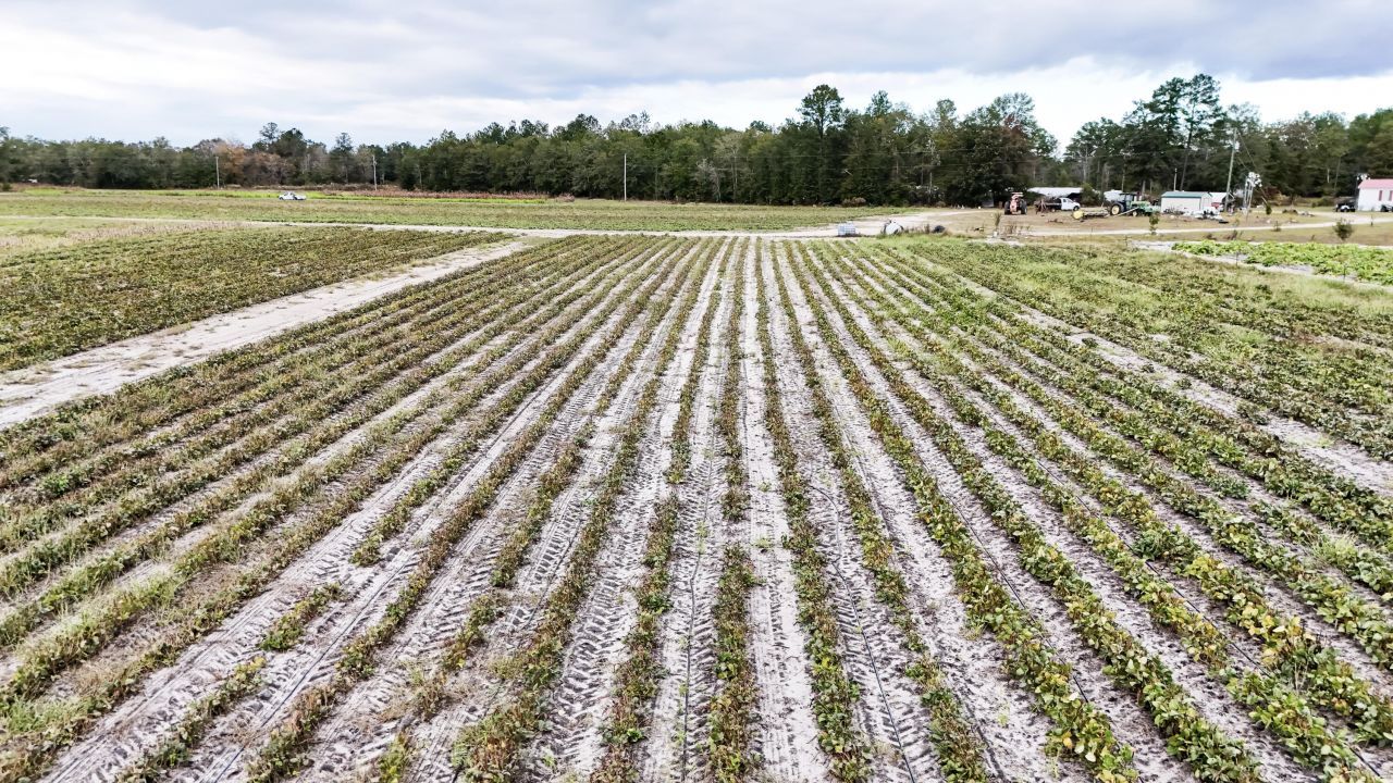 0000 Chavis Road Photo 5