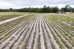 0000 Chavis Road photo 4