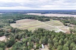 0000 Chavis Road photo 4