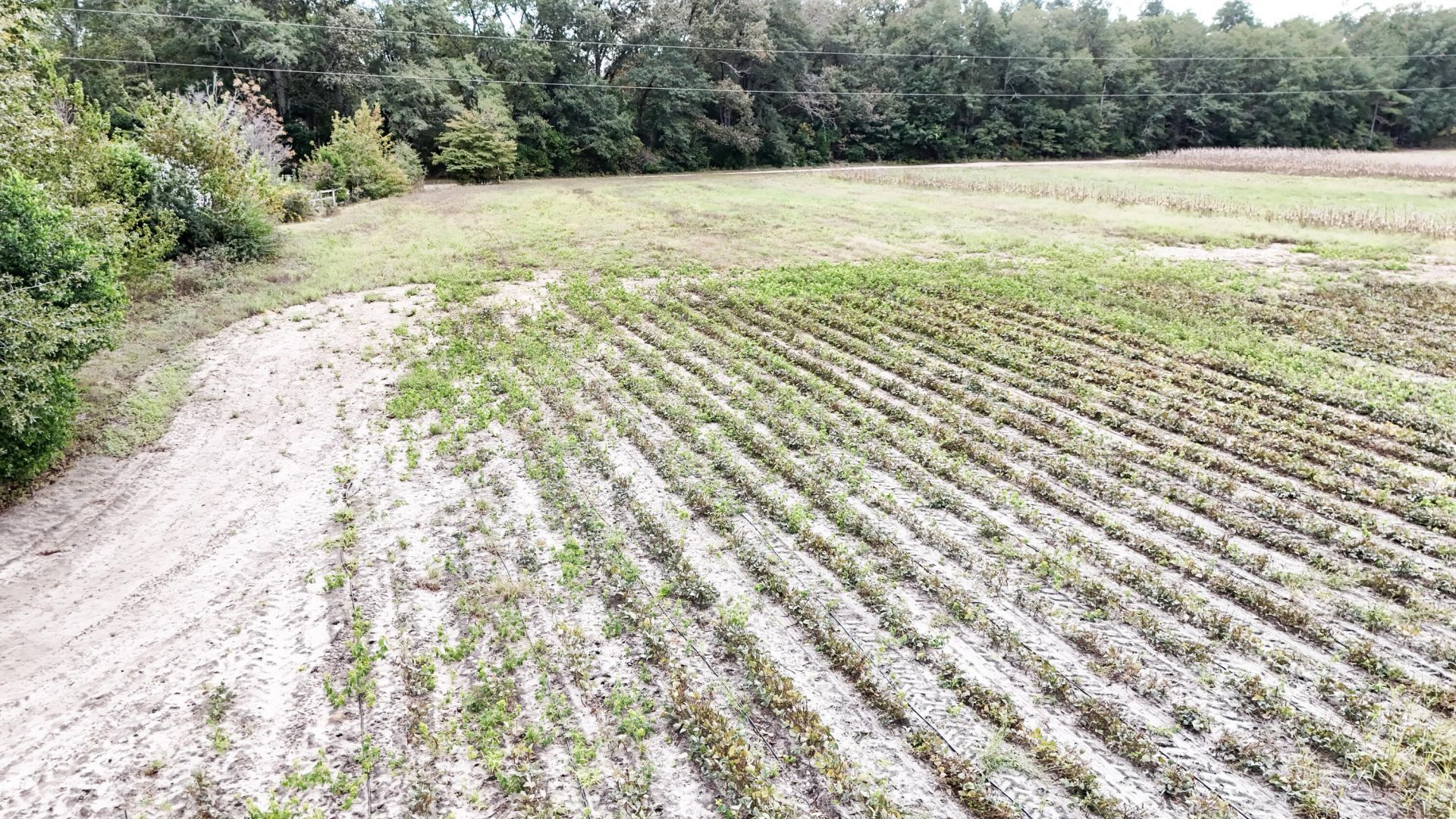 0000 Chavis Road Photo 9