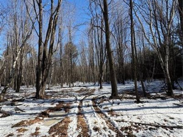 10470 W Walkers Road, Humbird, WI 54746