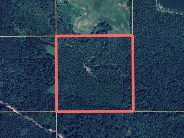 CR 192, Prairie, MS 39756