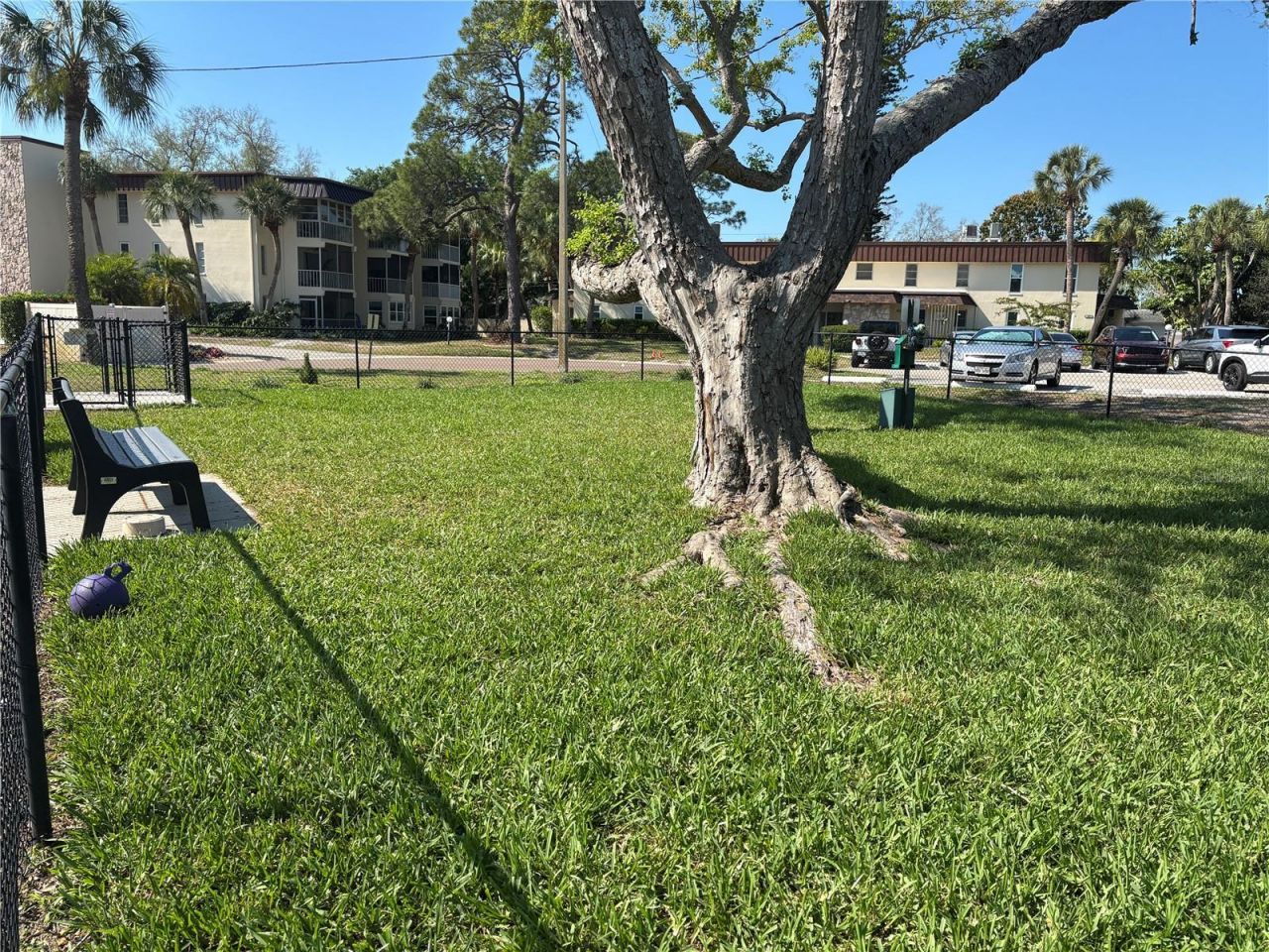 4904 38th Way S, Unit 417, Saint Petersburg, FL 33711 Photo