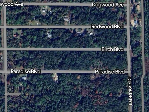 330 Chipola Dr, Georgetown, FL 32139