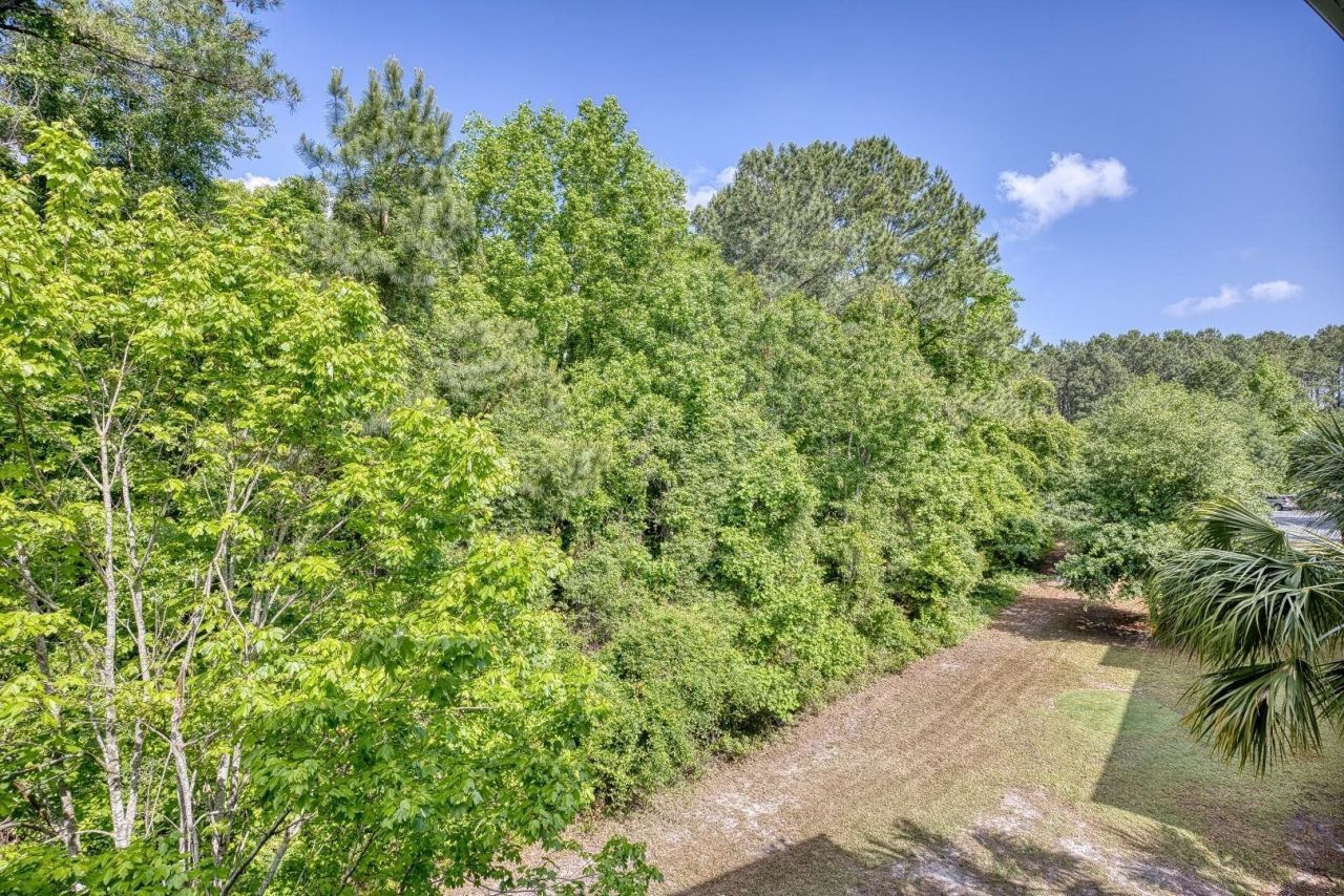 6253 Catalina Dr. Photo 27