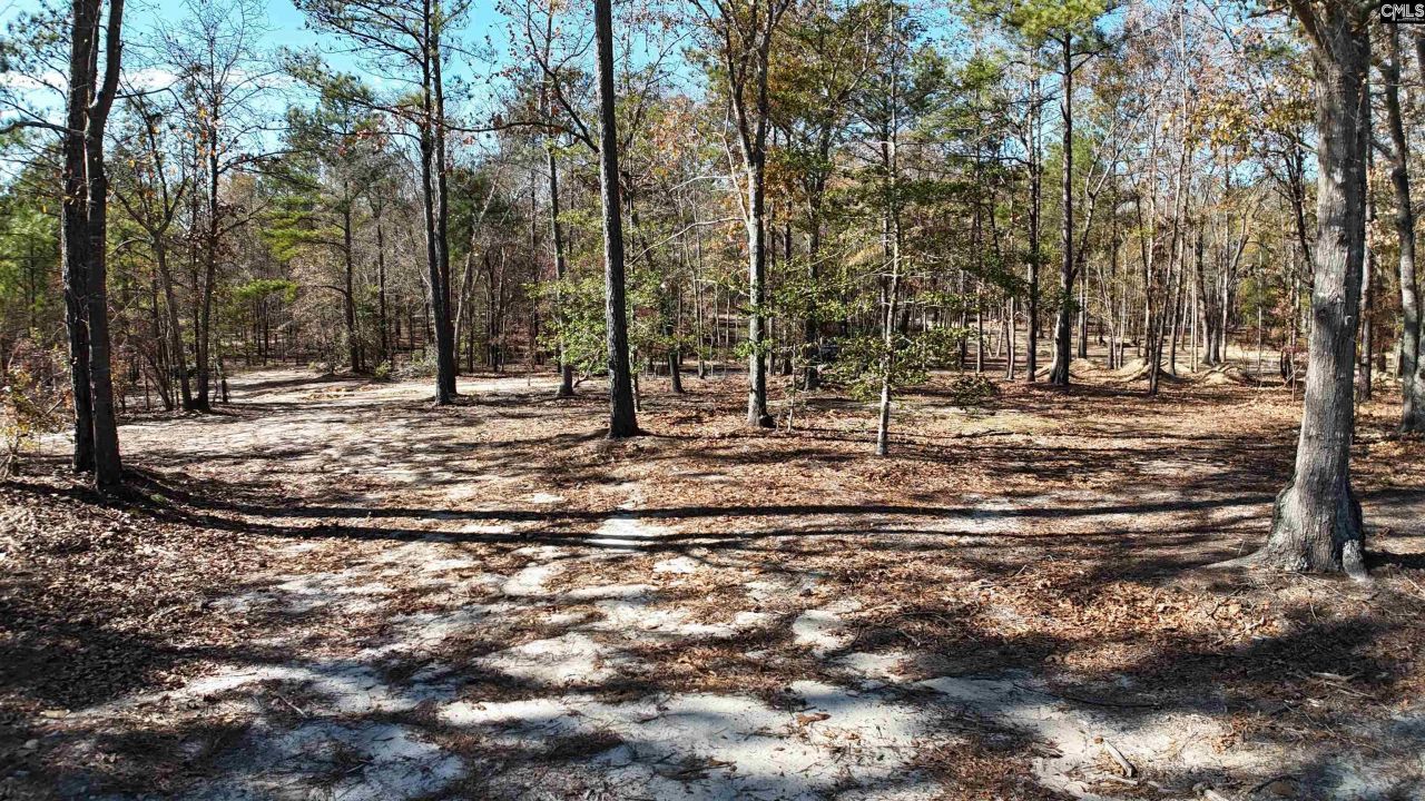 48 S Cub Road Photo 5