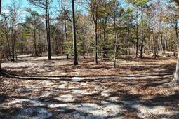 48 S Cub Road photo 4