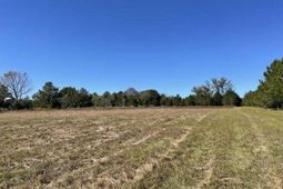 0 Carolina Highway photo 4