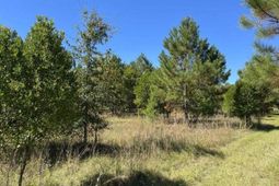 0 Carolina Highway photo 4