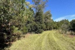 0 Carolina Highway photo 4