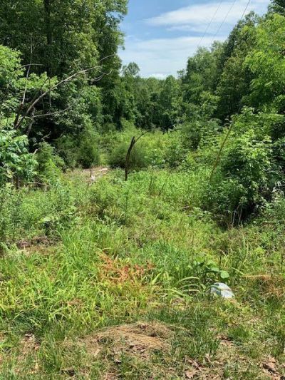 0 Hollyfield Rd, Rocky Mount, VA 24151 Main Photo