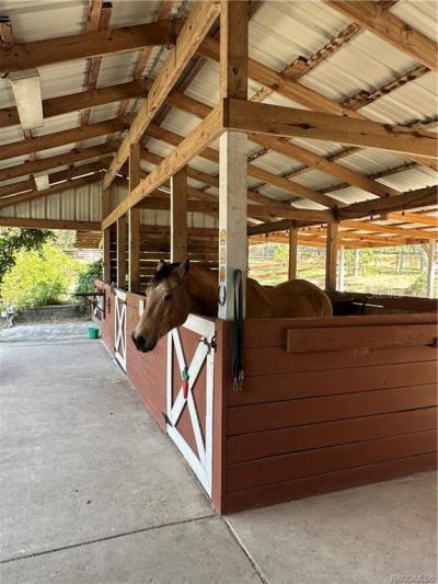 4295 N Bridger Drive, Beverly Hills, FL 34465 Photo