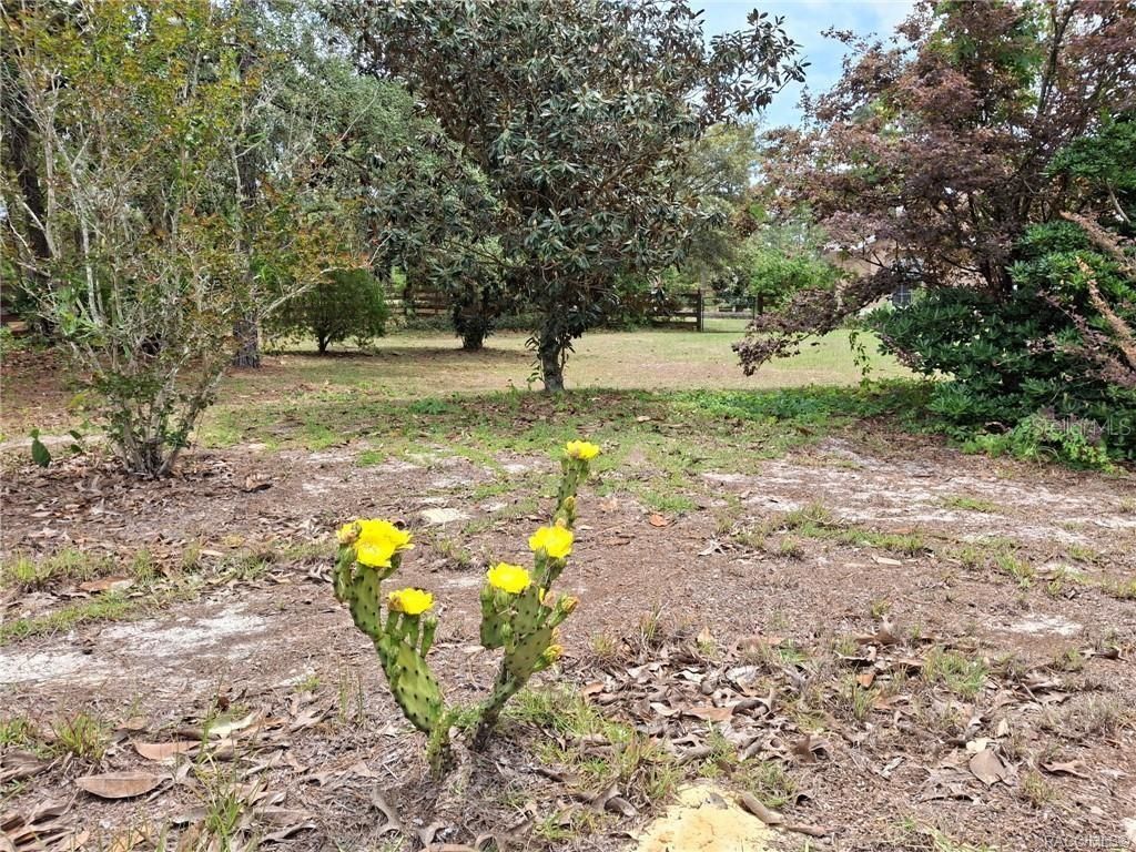 4295 N Bridger Drive, Beverly Hills, FL 34465 Photo