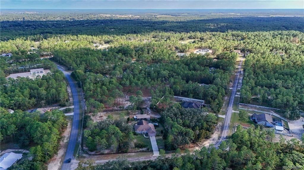 4295 N Bridger Drive, Beverly Hills, FL 34465 Photo