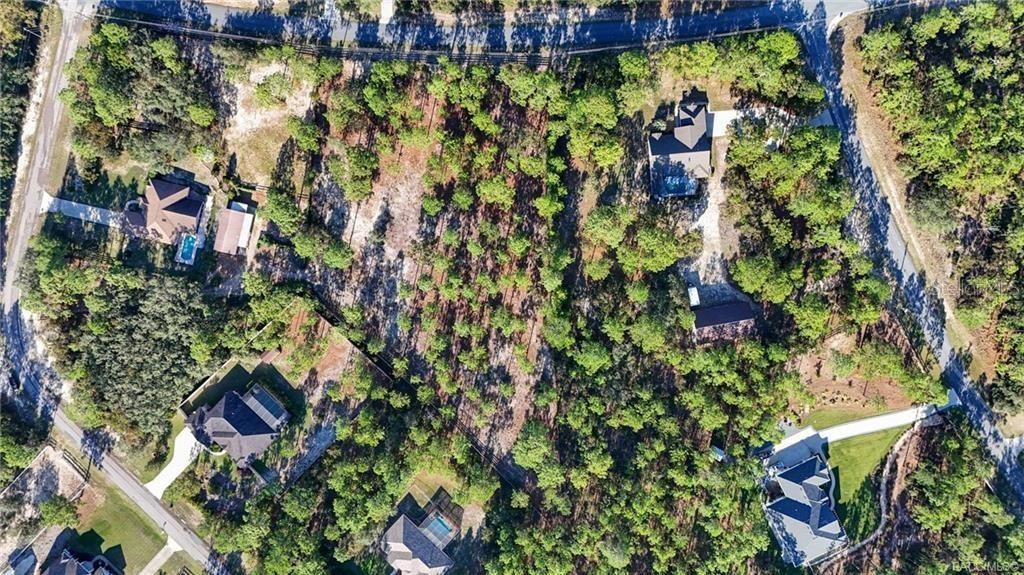 4295 N Bridger Drive, Beverly Hills, FL 34465 Photo