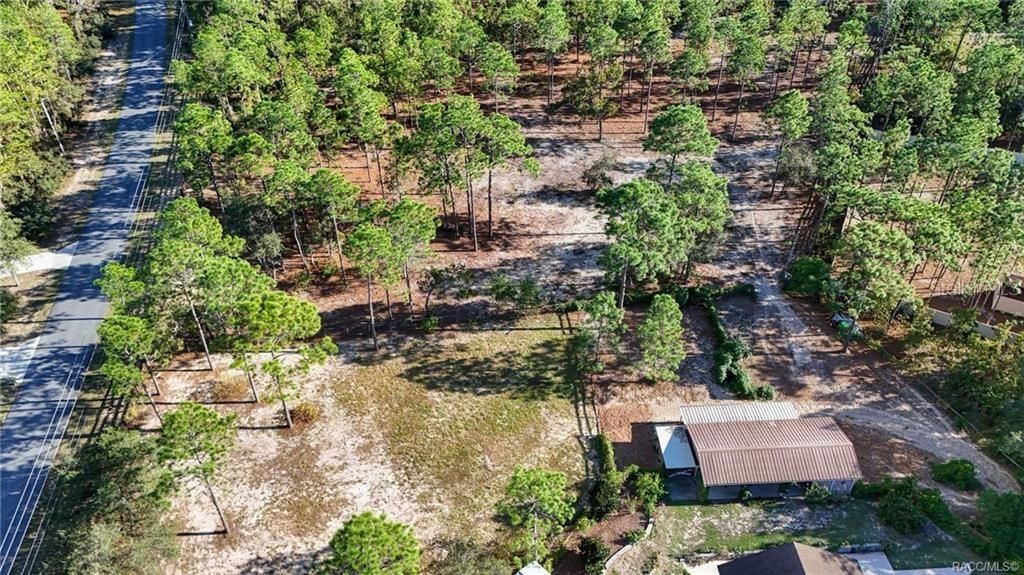 4295 N Bridger Drive, Beverly Hills, FL 34465 Photo