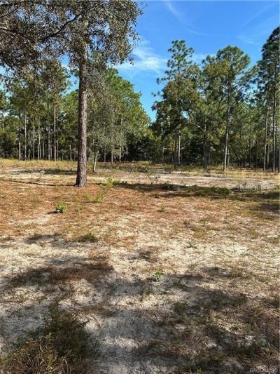 4295 N Bridger Drive, Beverly Hills, FL 34465 Photo