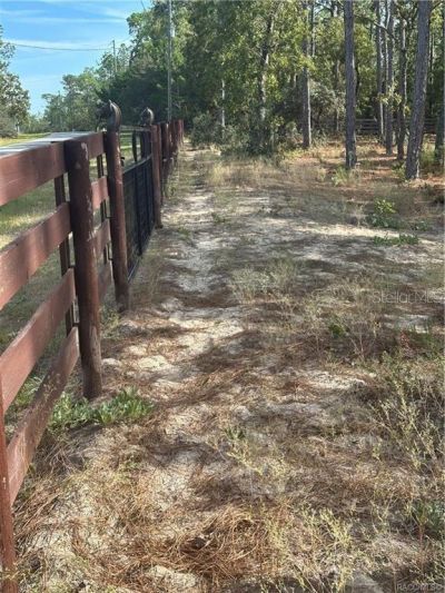 4295 N Bridger Drive, Beverly Hills, FL 34465 Photo