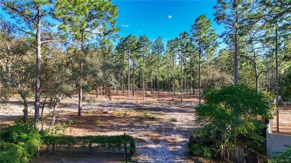 4295 N Bridger Drive, Beverly Hills, FL 34465 Photo