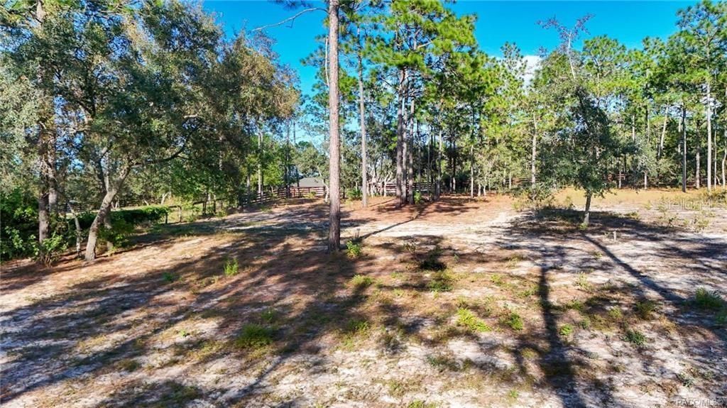 4295 N Bridger Drive, Beverly Hills, FL 34465 Photo