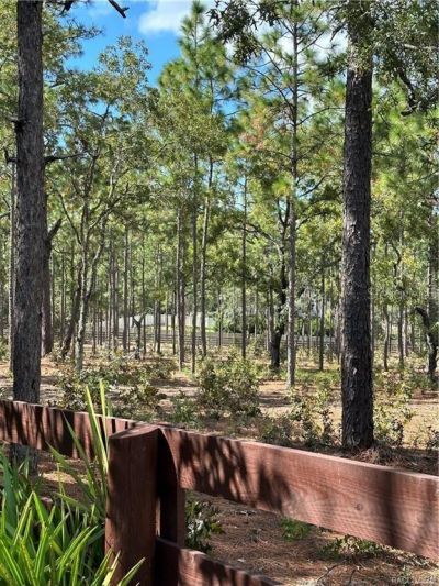 4295 N Bridger Drive, Beverly Hills, FL 34465 Photo