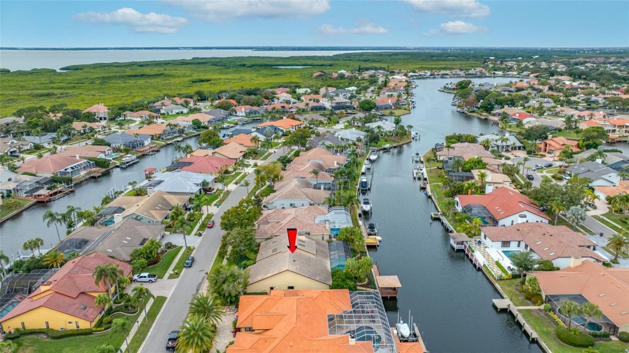 9807 Compass Point Way, Tampa, FL 33615 Photo