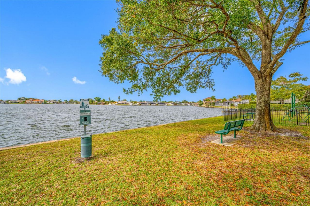 9807 Compass Point Way, Tampa, FL 33615 Photo