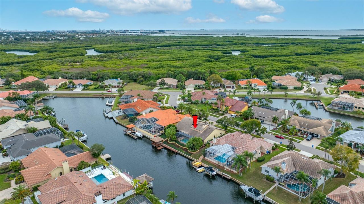 9807 Compass Point Way, Tampa, FL 33615 Photo