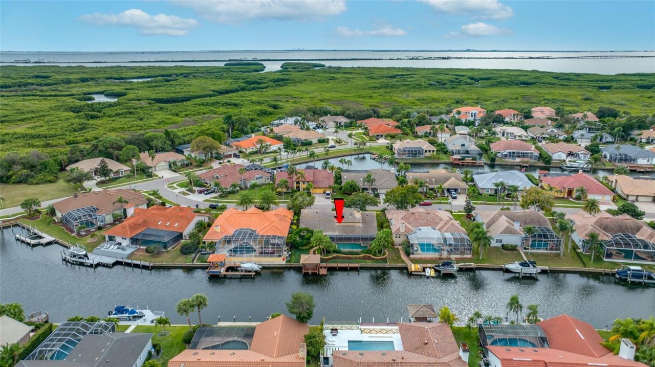 9807 Compass Point Way, Tampa, FL 33615 Photo