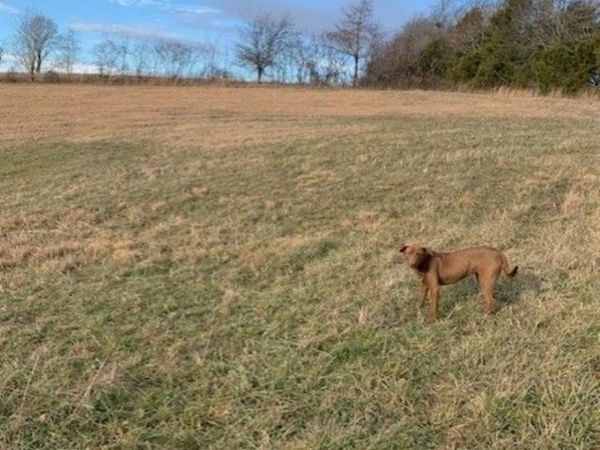 0 Wilbur Glass Road, Edmonton, KY 42129