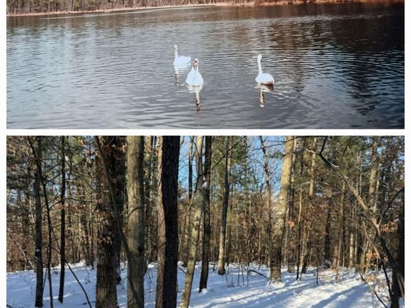 30 W Stanton Road, Stanton, MI 48888